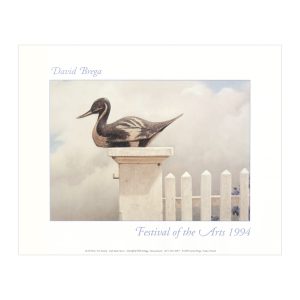 NRAS Festival Poster 1994 - David Brega Unframed