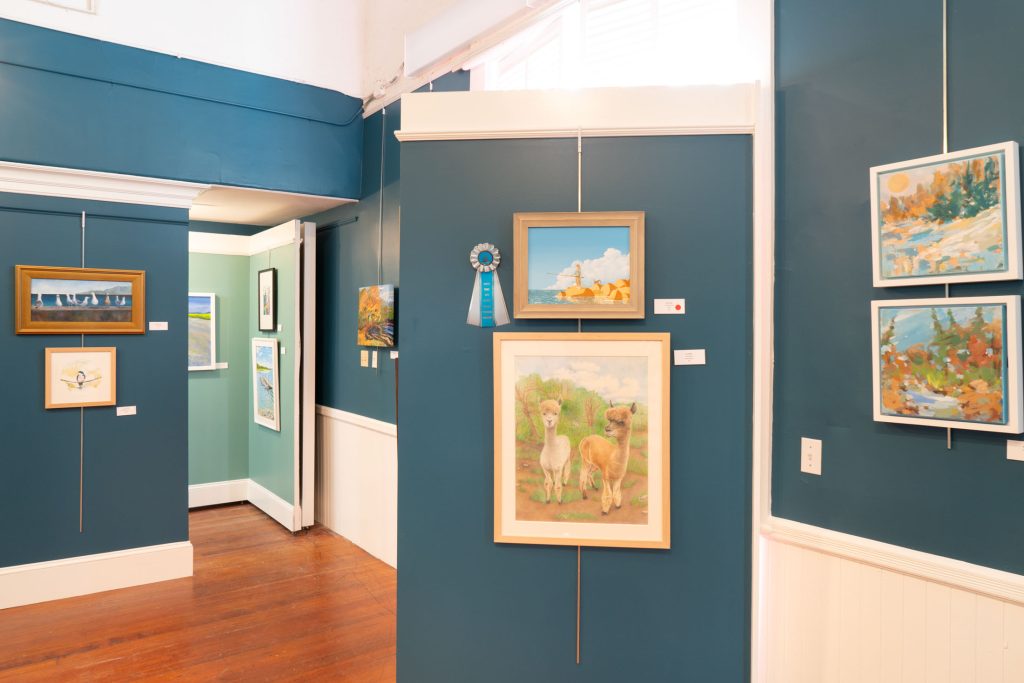 DSC3575-Edit-1024x683