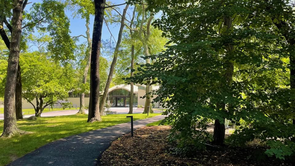 The Art Complex Museum The Art Complex Museum